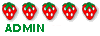 Admin